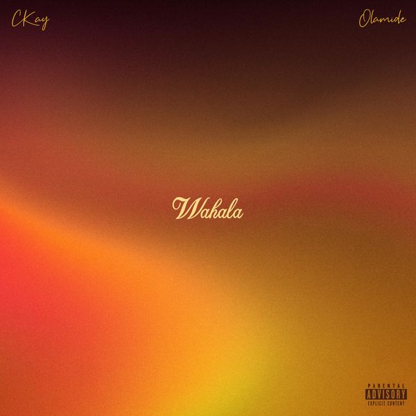 [MUSIC] Ckay ft. Olamide – Wahala